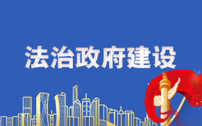 法治政府建設情況報告
